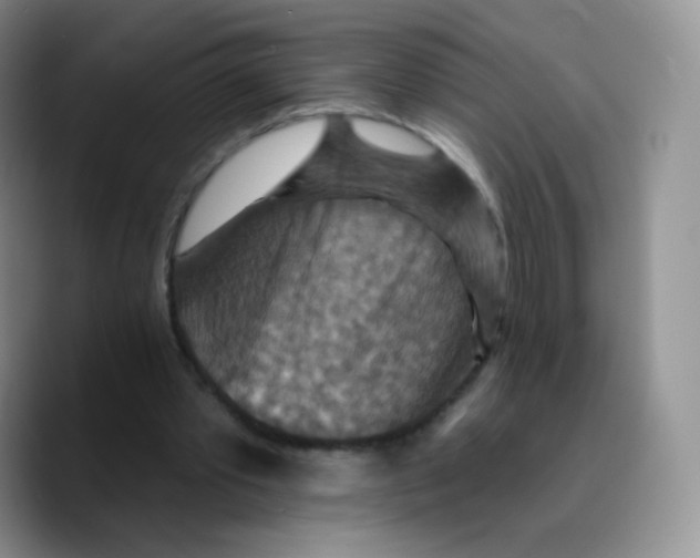 X0000089720389200707201825