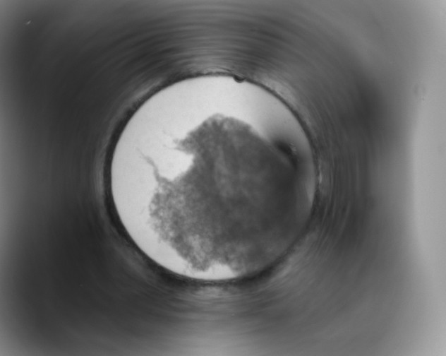 X0000089720390200707201825