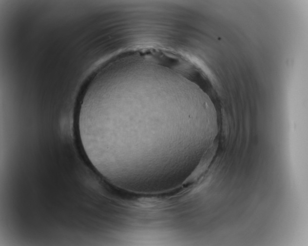 X0000089720391200707201825