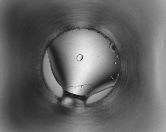 X0000089720393200707201825