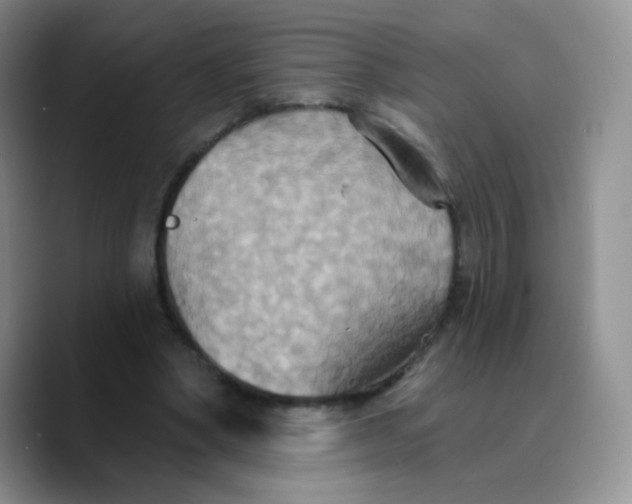 X0000089720394200707201825