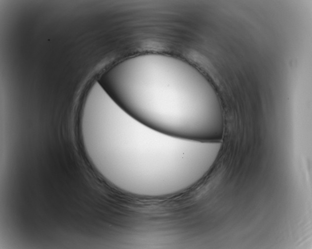 X0000089720395200707201825