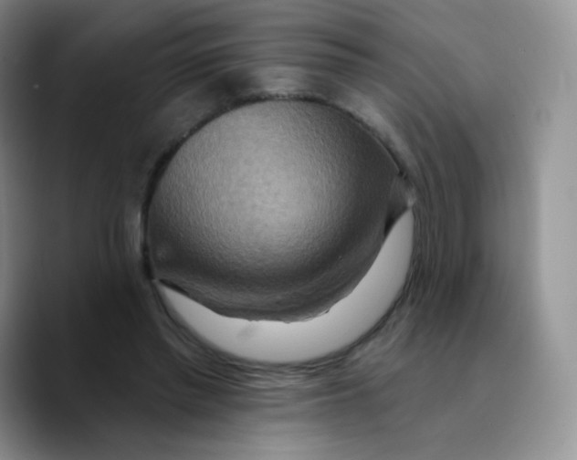 X0000089720397200707201825