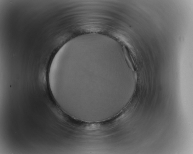 X0000089720398200707201825