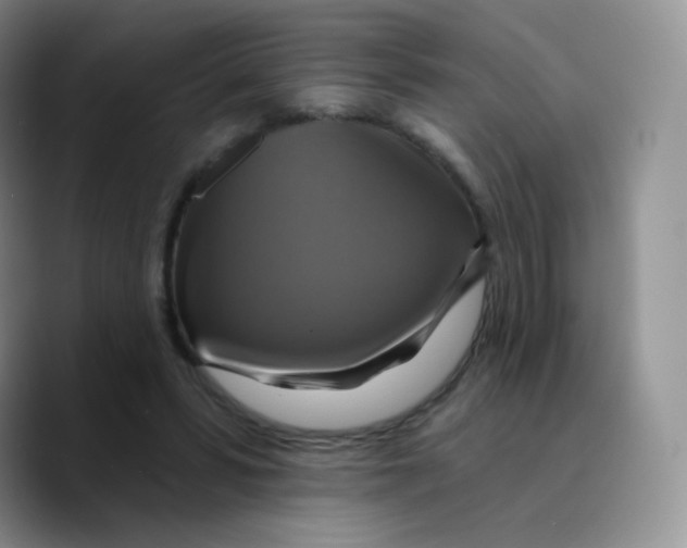 X0000089720399200707201825