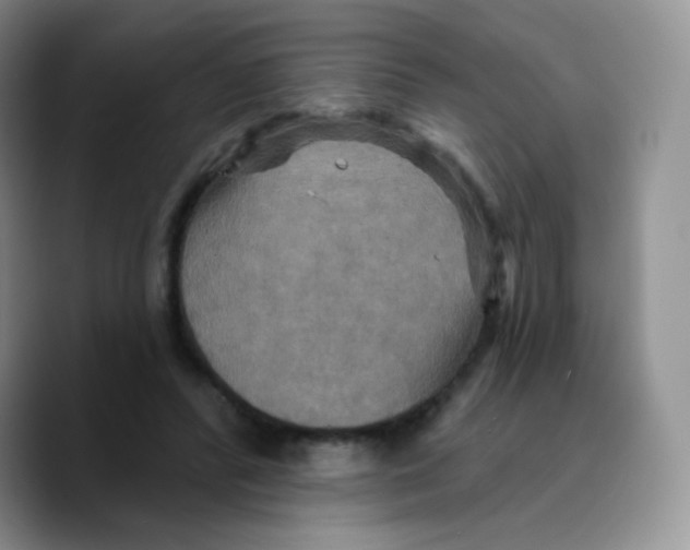 X0000089720400200707201825