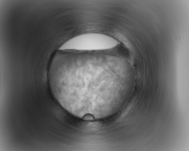 X0000089720401200707201825