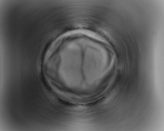 X0000089720402200707201825