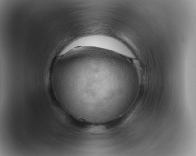 X0000089720403200707201825