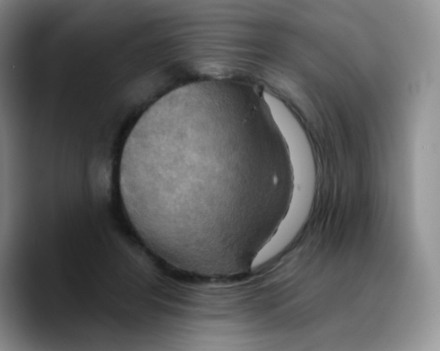 X0000089720404200707201825