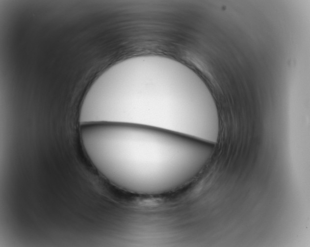 X0000089720407200707201825