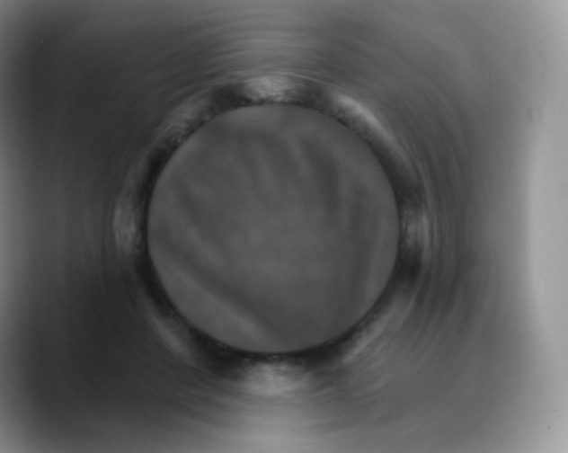 X0000089720408200707201825