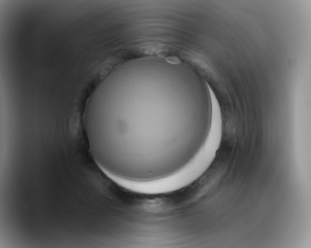 X0000089720411200707201825