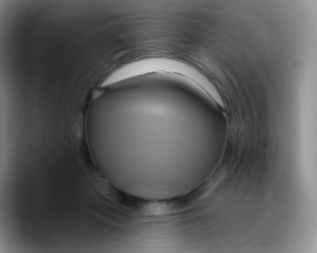 X0000089720413200707201825