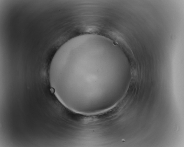 X0000089720415200707201825