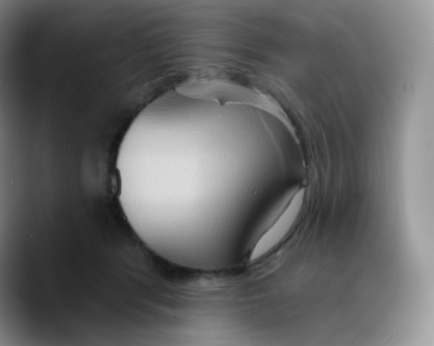 X0000089720416200707201825