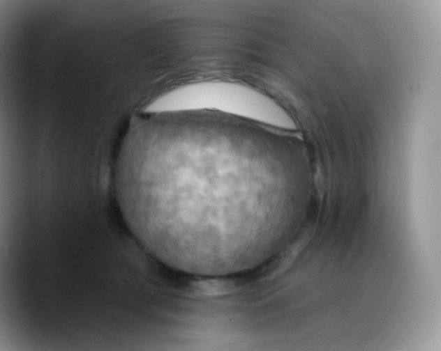 X0000089720417200707201825