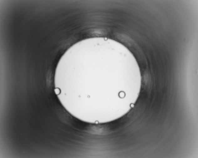 X0000089720423200707201824