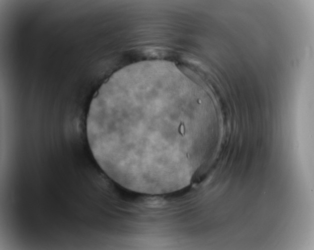 X0000089720424200707201824