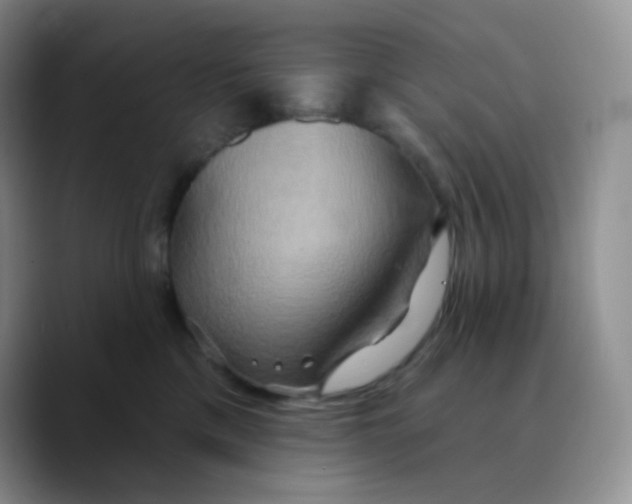 X0000089720425200707201824