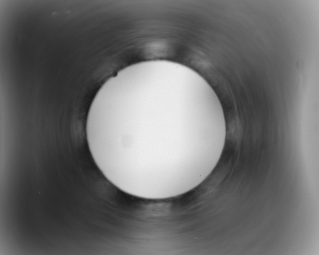X0000089720426200707201824