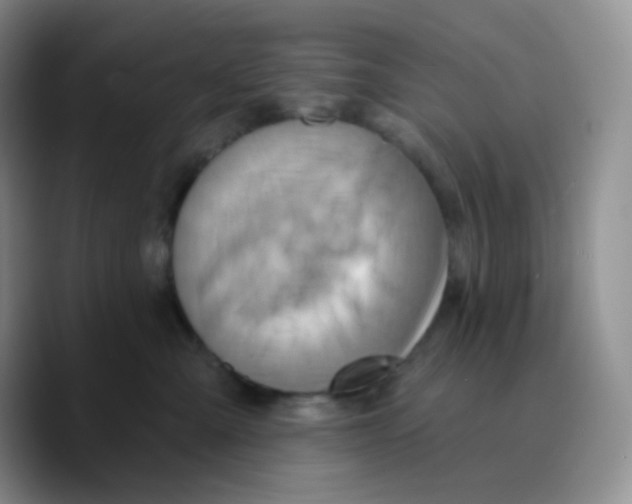 X0000089720427200707201824
