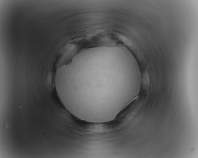 X0000089720428200707201824