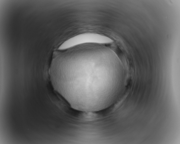 X0000089720429200707201824