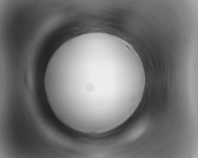 X0000089720431200707201824