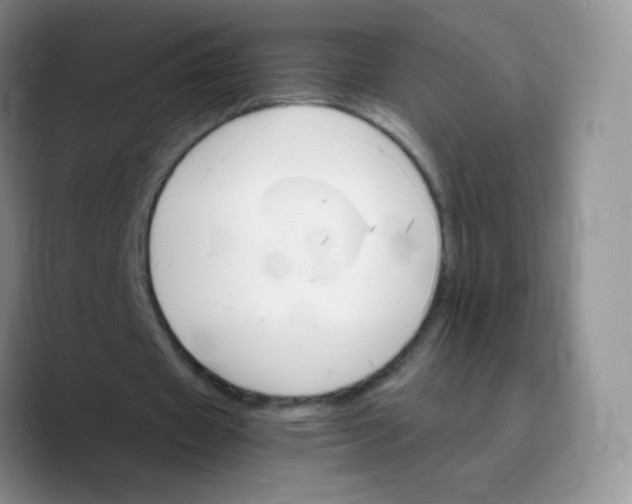 X0000089720433200707201824