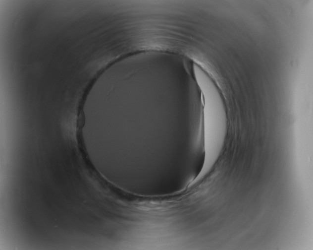 X0000089720434200707201824