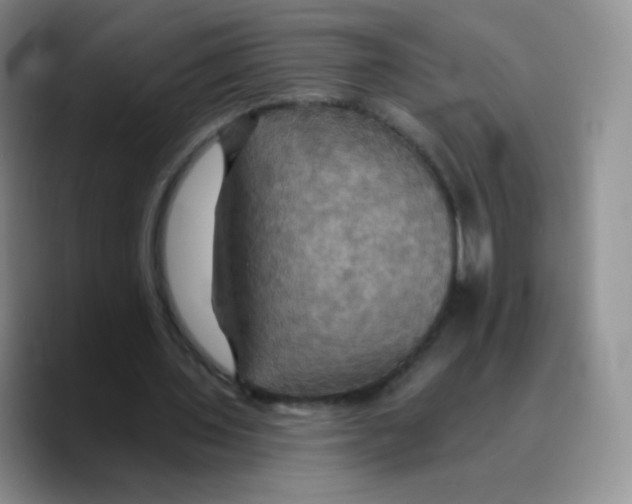 X0000089720435200707201824