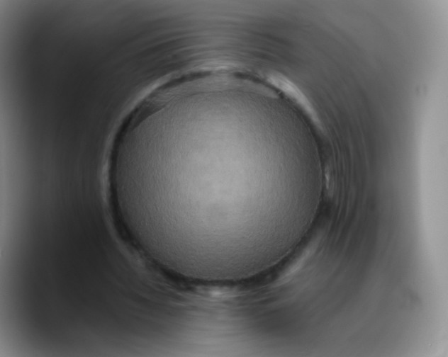 X0000089720436200707201824