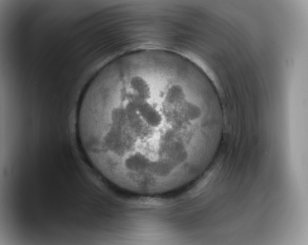 X0000089720437200707201824
