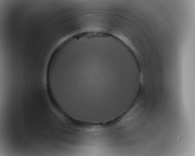 X0000089720438200707201824