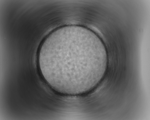 X0000089720439200707201824