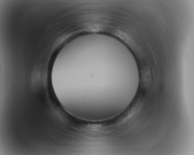 X0000089720440200707201824