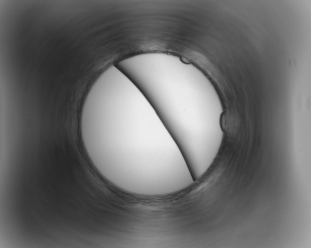 X0000089720441200707201824