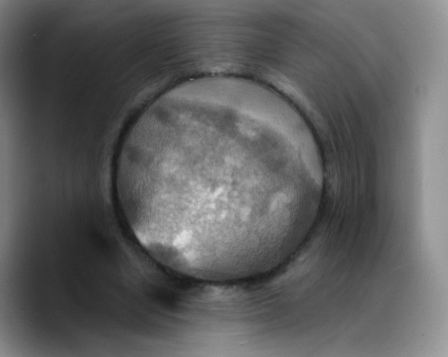 X0000089720442200707201824