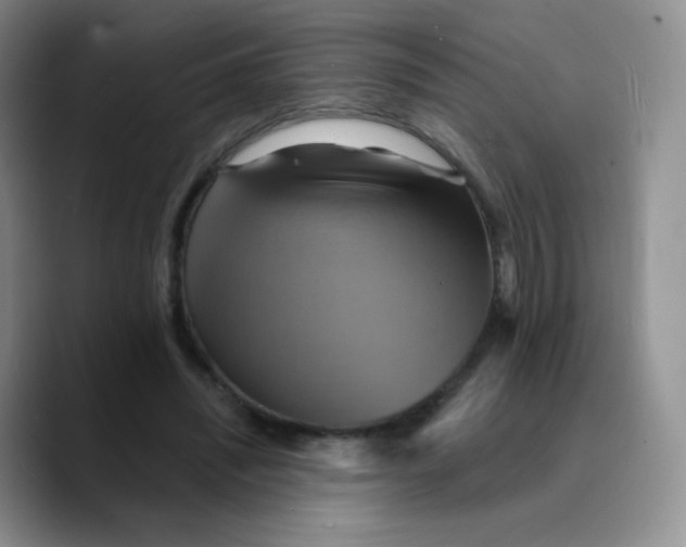 X0000089720444200707201824