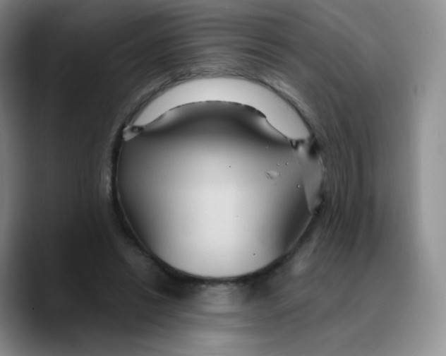 X0000089720446200707201824