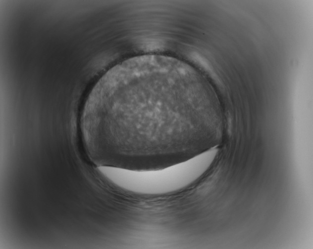 X0000089720447200707201824