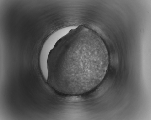 X0000089720449200707201824