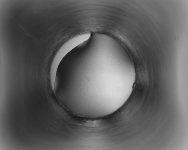 X0000089720450200707201824