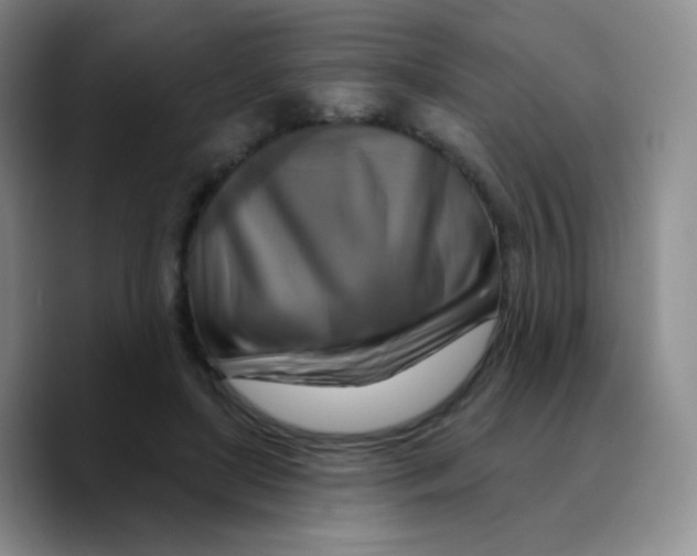 X0000089720451200707201824