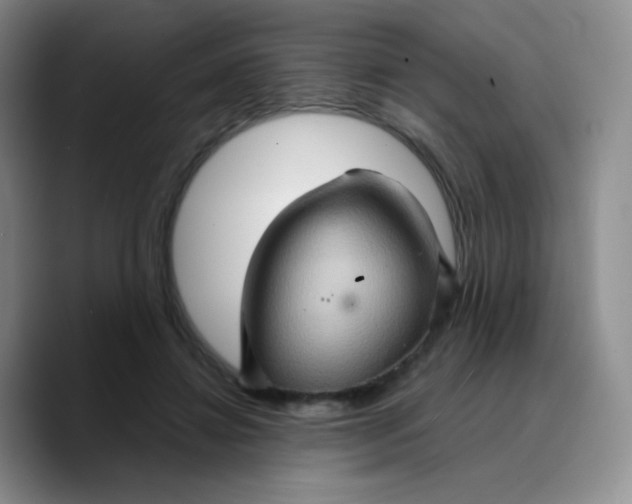 X0000089720452200707201824