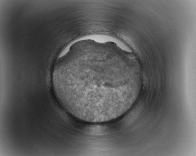X0000089720453200707201824