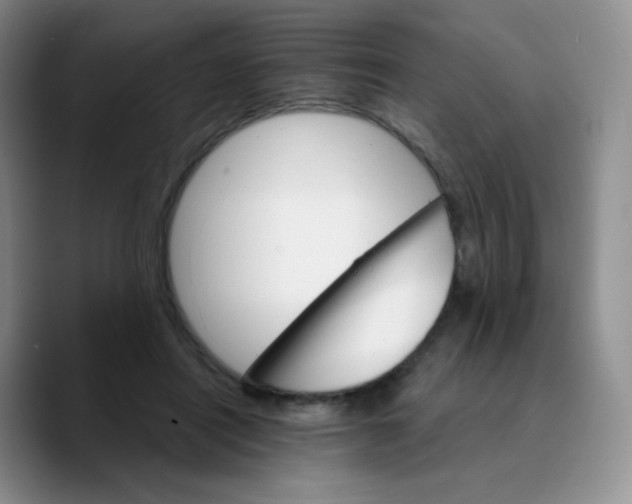 X0000089720454200707201824