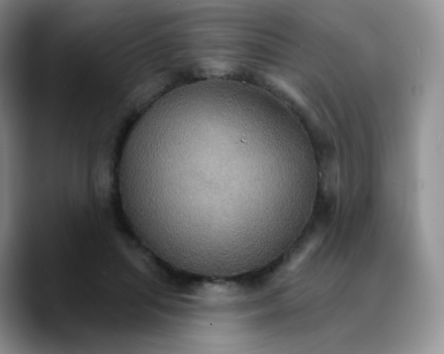 X0000089720455200707201824