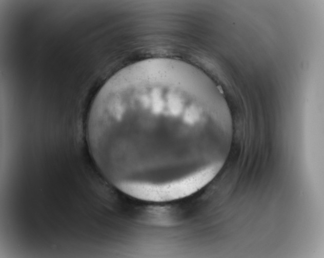 X0000089720457200707201824